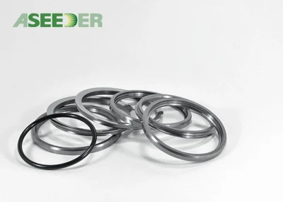 Anello di chiusura Polished resistente all&prime;uso del carburo di buoni prezzi per la pompa