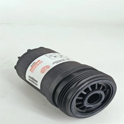 Filtro del combustibile ad alimentazione diretta in fabbrica per escavatore Cummins Liugong FF63054nn 5660774 FF63009 &nbsp; &nbsp; &nbsp;Fs19657 5292575