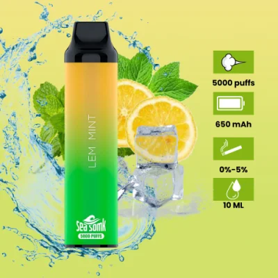 Cartuccia di puffs e-sigaretta Vape 5000 monouso in fabbrica Shenzhen 2023 Forma