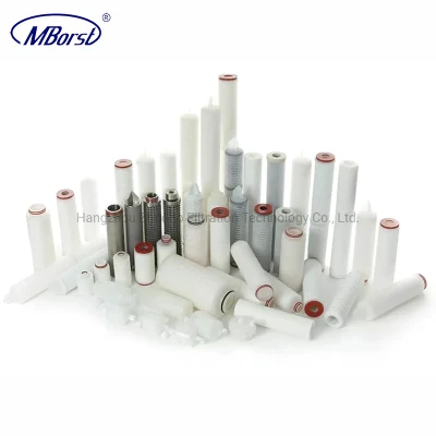 Cartuccia filtrante per acqua pieghettata Nylon6 da 10&quot; 40&quot; ad alte prestazioni 0.1/0.2/0.45 Micron per prodotti farmaceutici Semiconductor per alimenti e bevande con membrana idrofila