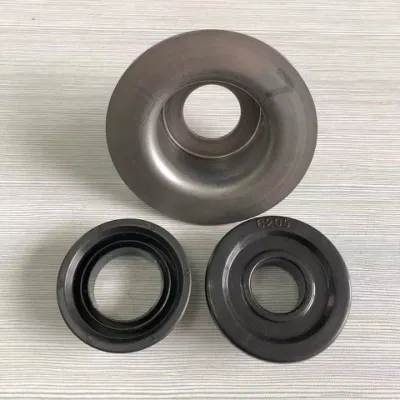 Alloggiamento cuscinetto modello Tkii per rullo tenditore con guarnizione in plastica&amp; Coperchio in metallo