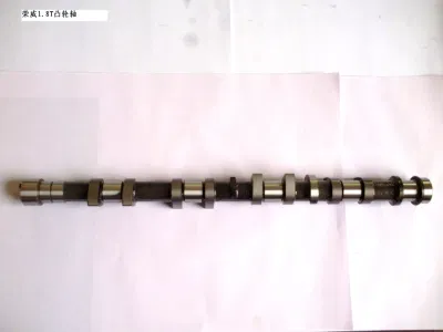 Albero a camme per Benz Ssangyong per motore di alta qualità a prezzo di fabbrica Parti di ricambio