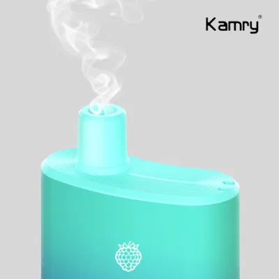 Kamry Flagon Factory OEM&amp;ODM Vapes Pen Mesh Coil 6000puff Multi Sigaretta elettronica per vaporizzatore monouso Flavour