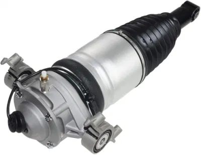 Prezzo di fabbrica ammortizzatore posteriore sinistro per Audi Q7 Cayenne VW Toureg OEM 7p6616019K 7p6616019j 7p6616019g 7p6616019h