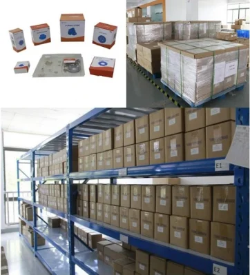 BV43 turbocompressore parte turbocompressore 53039700122 53039880122 anello a palette per Hyundai Hyundai