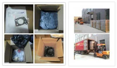 BV43 turbocompressore parte turbocompressore 53039700122 53039880122 anello a palette per Hyundai Hyundai