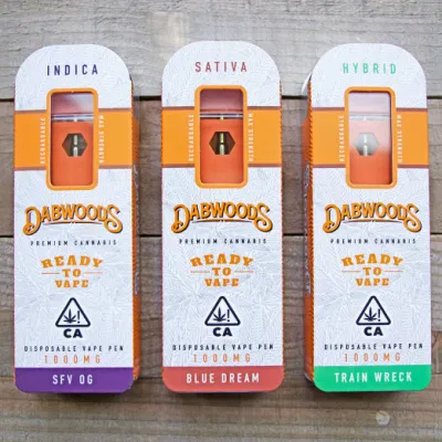 Penna Vape monouso all&prime;ingrosso Dabwoods da 1 g