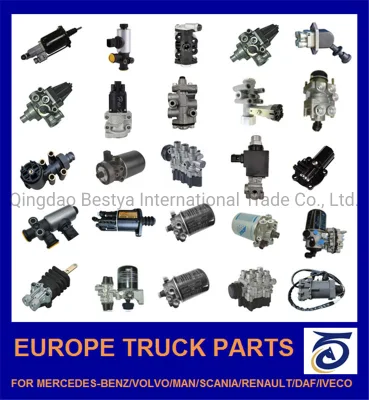 Filtro aria /filtro carburante/filtro olio per auto Mercedes-Benz/Volvo/Man/Renault/DAF/Iveco/ Fabbrica Isuzu/ Mitsubishi/ Hino/Hyundai/Toyota/BMW Cina