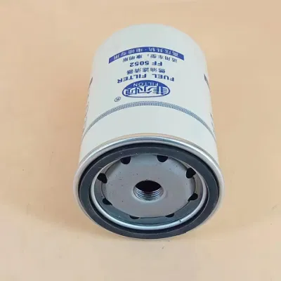 Sostituzione dell&prime;elemento del filtro dell&prime;olio idraulico 01nl. 250,25 g. 30. E. cartuccia filtro ad alte prestazioni