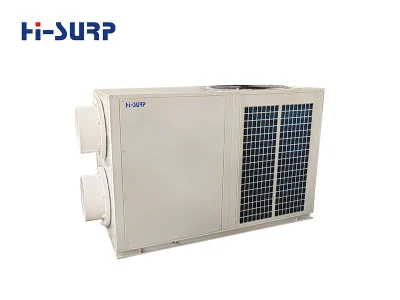 Produttore cinese Hi-Surp R410A scambiatore di calore dell&prime;unità di raffreddamento dell&prime;aria della granella con Compressore Copeland/Panasonic/Hitachi