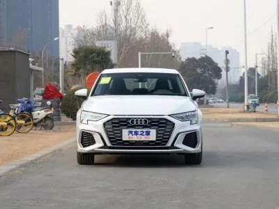 Vendita diretta in fabbrica dello stampo per paraurti anteriore in plastica Audi A3 Sport