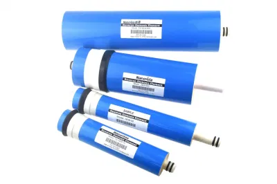 Membrana per cartuccia filtro acqua ad alta portata produttore OEM/ODM per Trattamento acqua RO acqua desalinizzazione acqua ionizzata Centrale petrolchimica