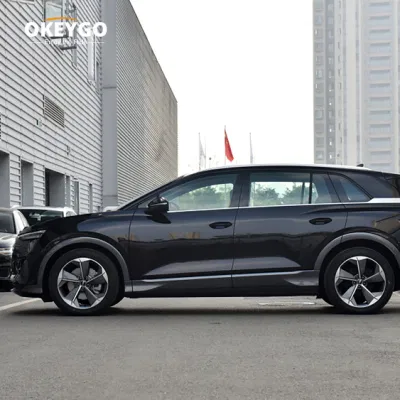 Cina fabbrica fatto conveniente Top-Quality 0km usato Audi EV Car