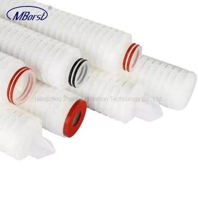 Cartuccia filtrante per acqua pieghettata Nylon6 ad alte prestazioni 0.1/0.2/0.45 micron per Semiconduttori per alimenti e bevande con membrana idrofila 10&quot; 40&quot;