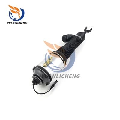 Fornitore di fabbrica cinese Auto ammortizzatore pneumatico sospensione pneumatica riparazione molla Kit