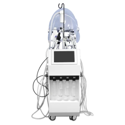 Cinese Produttore 10 in 1 Oxygen macchina in vendita
