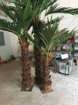 Factory Wholesale Artifical Washington Palm Tree per decorazione esterna interna