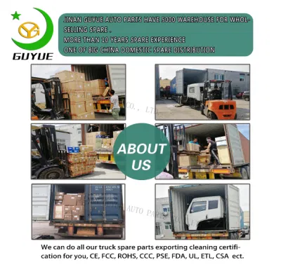  Turbocompressore Vg2600118899 per motore diesel per veicoli per la Cina Wd615.87 complessivo turbocompressore Vg2600118899