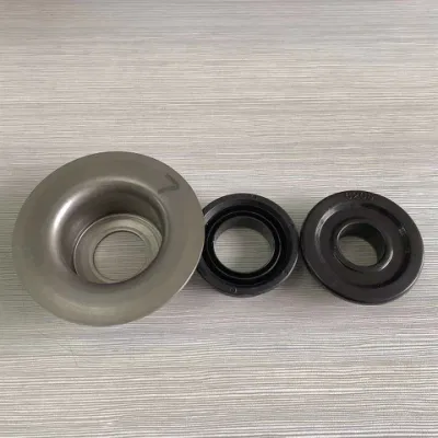 Cina 1688 fornitore Tkii Conveyor Roller Ball alloggiamento cuscinetto con Guarnizioni parapolvere in ABS