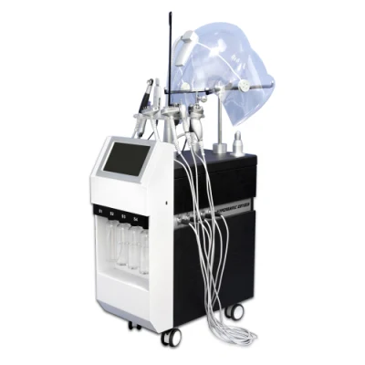 Cinese Produttore 10 in 1 Oxygen macchina in vendita