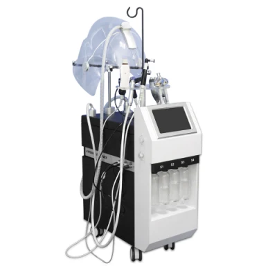 Cinese Produttore 10 in 1 Oxygen macchina in vendita