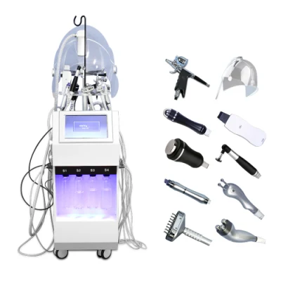 Cinese Produttore 10 in 1 Oxygen macchina in vendita