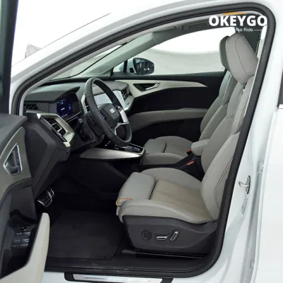 Cina fabbrica fatto conveniente Top-Quality 0km usato Audi EV Car