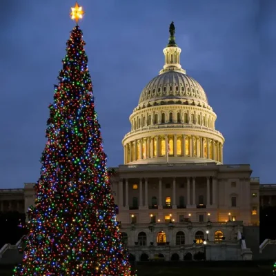 2021 fornitura in fabbrica di materiale esterno gigante artificiale commerciale 10m 24m 30m Albero di Natale con luce per lo shopping Mall decorazione