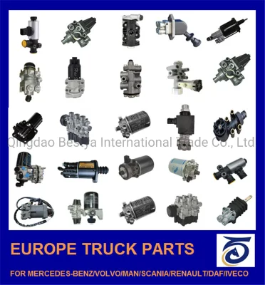 Filtro aria /filtro carburante/filtro olio per auto Mercedes-Benz/Volvo/Man/Renault/DAF/Iveco/ Fabbrica Isuzu/ Mitsubishi/ Hino/Hyundai/Toyota/BMW Cina