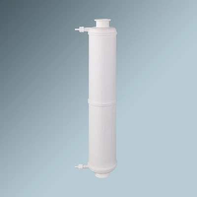 Cartuccia filtrante per capsula pieghettata monouso personalizzata OEM/ODM con membrana in PTFE