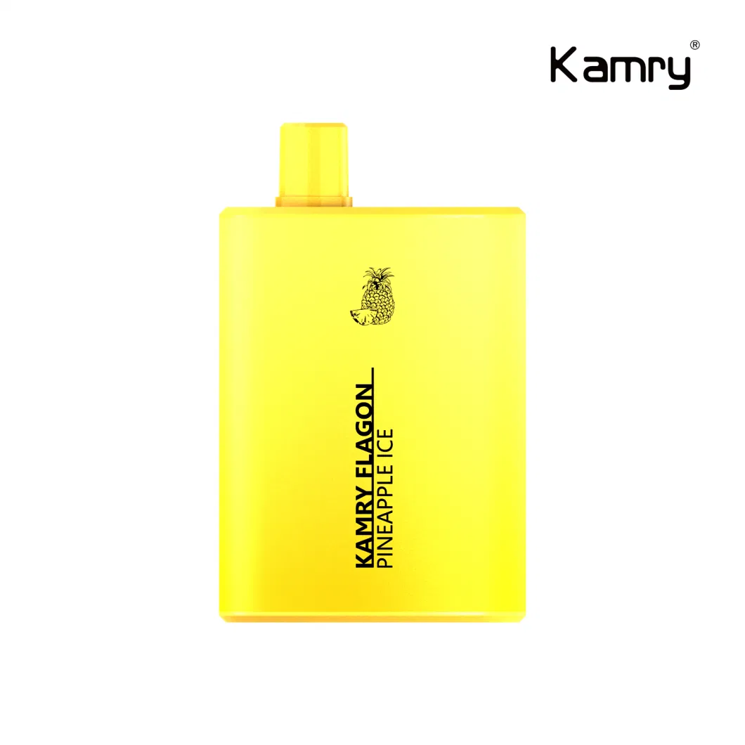 Kamry Flagon Factory OEM&ODM Vapes Pen Mesh Coil 6000puff Multi Flavor Disposable Vaporizer Electronic Cigarette