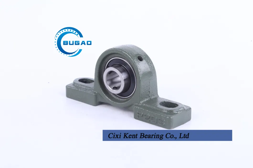 Factory Wholesales/Pillow Block Bearings/Bearing Housing UC UCP Ucph UCFL Ucfu UK 200 201 203