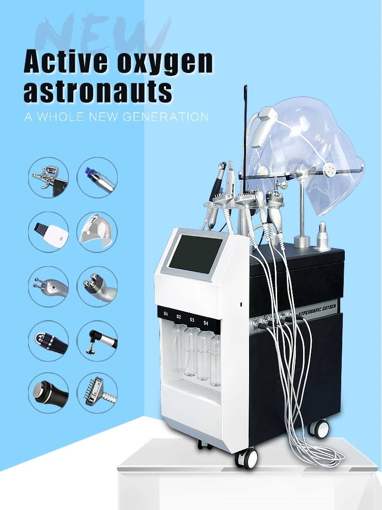 Chinese Manufacturer 10 in 1 Oxygen Machine for Sale