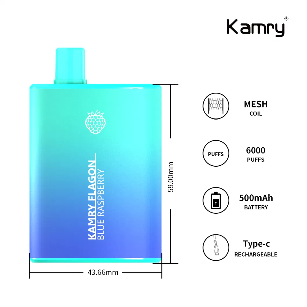 Kamry Flagon Manufacture Supply 6000puff 2%Nicotine OEM Vape Flavor Disposable Vaporizer