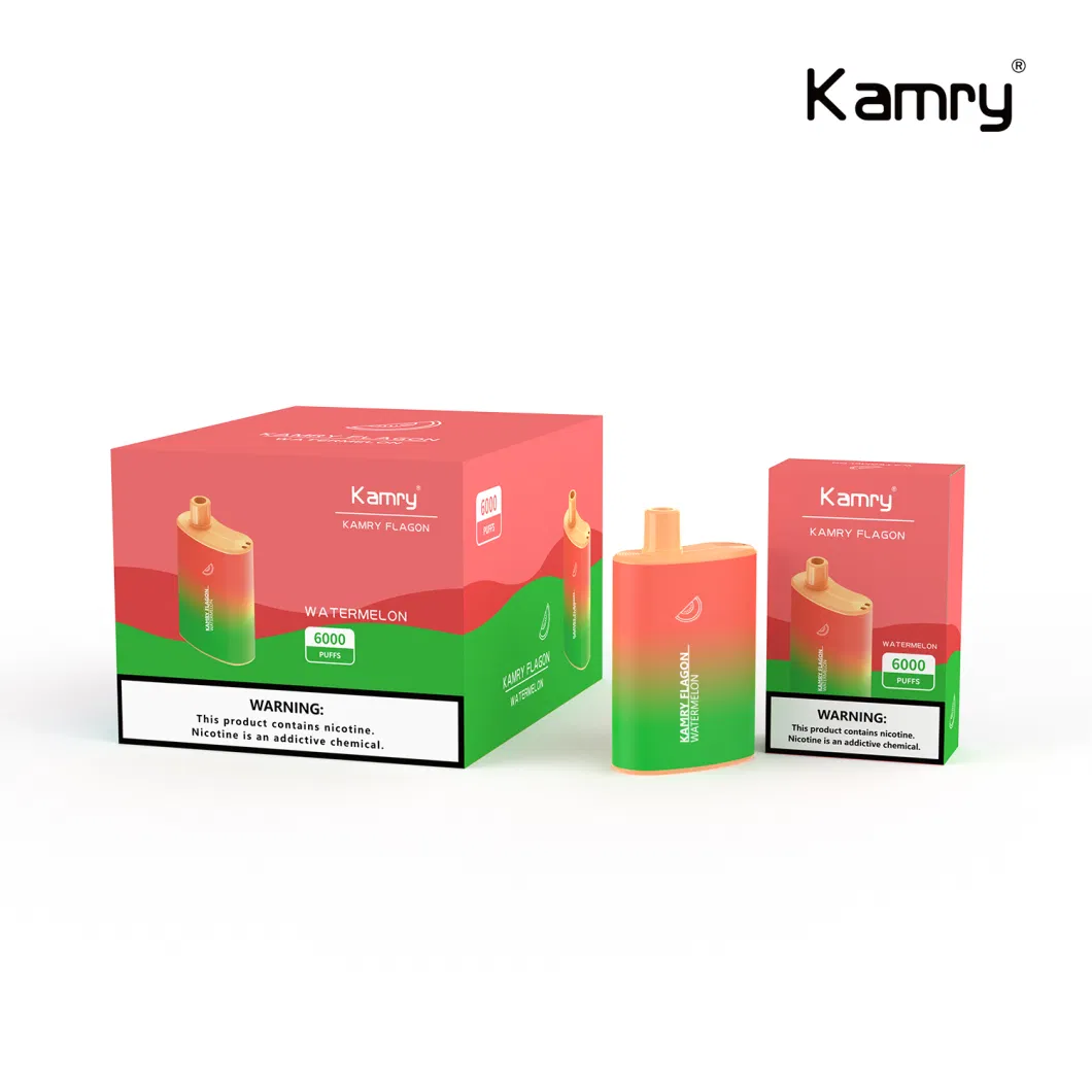 Kamry Flagon 2023 China 6000puff Most Popular Disposable Electronic Cigarette Wholesale Vape Smoking OEM ODM Direct Factory Puff Good Quality