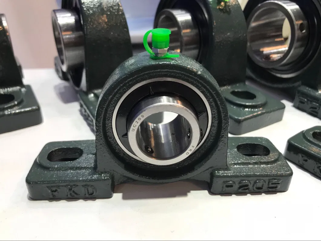 Cast Iron Bearing Housing with ISO Certificate and Factory (UCP205 UCP205-16)