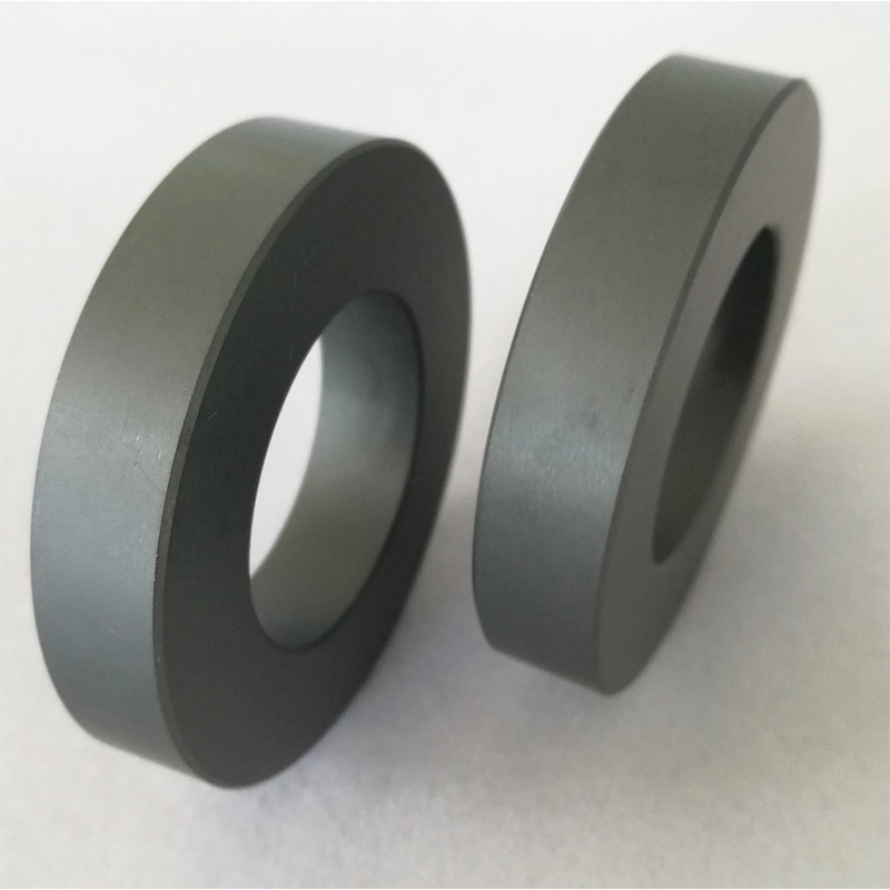 Polished Silicon Carbide Ceramic Seal Rings Bearings Tubes Rods Nozzles Ssic Rbsic Sic Ring