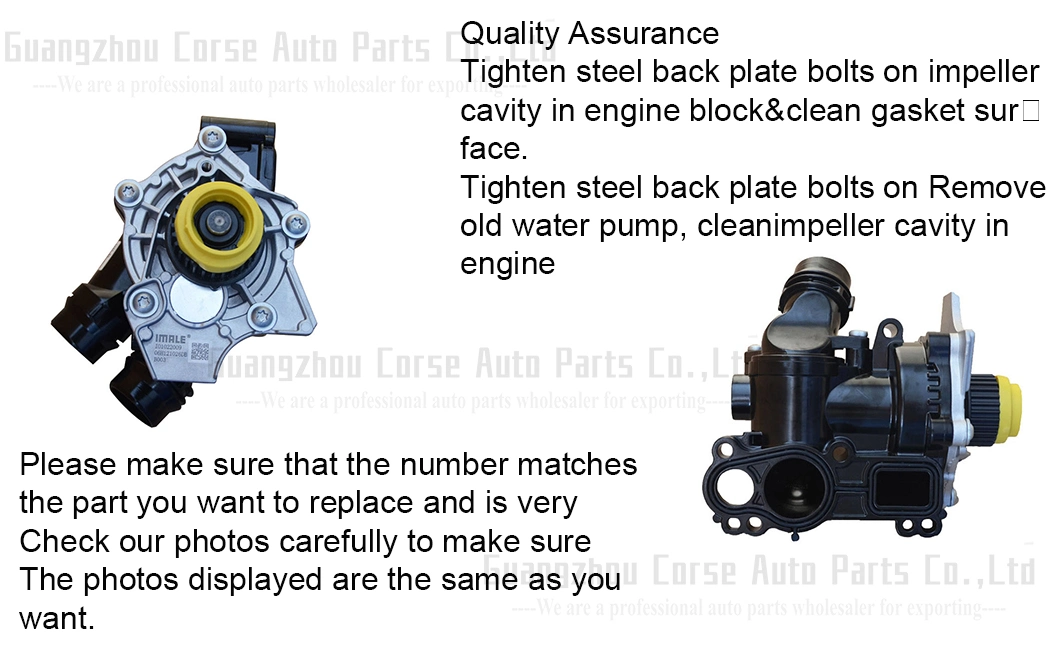 Water Pump Assy Bk3q-8A558 CB for Ford Transit 2.2 Engine Parts