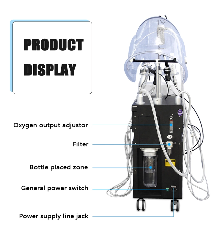 Chinese Manufacturer 10 in 1 Oxygen Machine for Sale