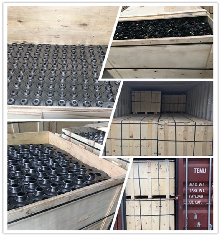 Steel Conveyor Roller Bearing Housing with Plastic Sealing Kits Tk6205-133 (128)