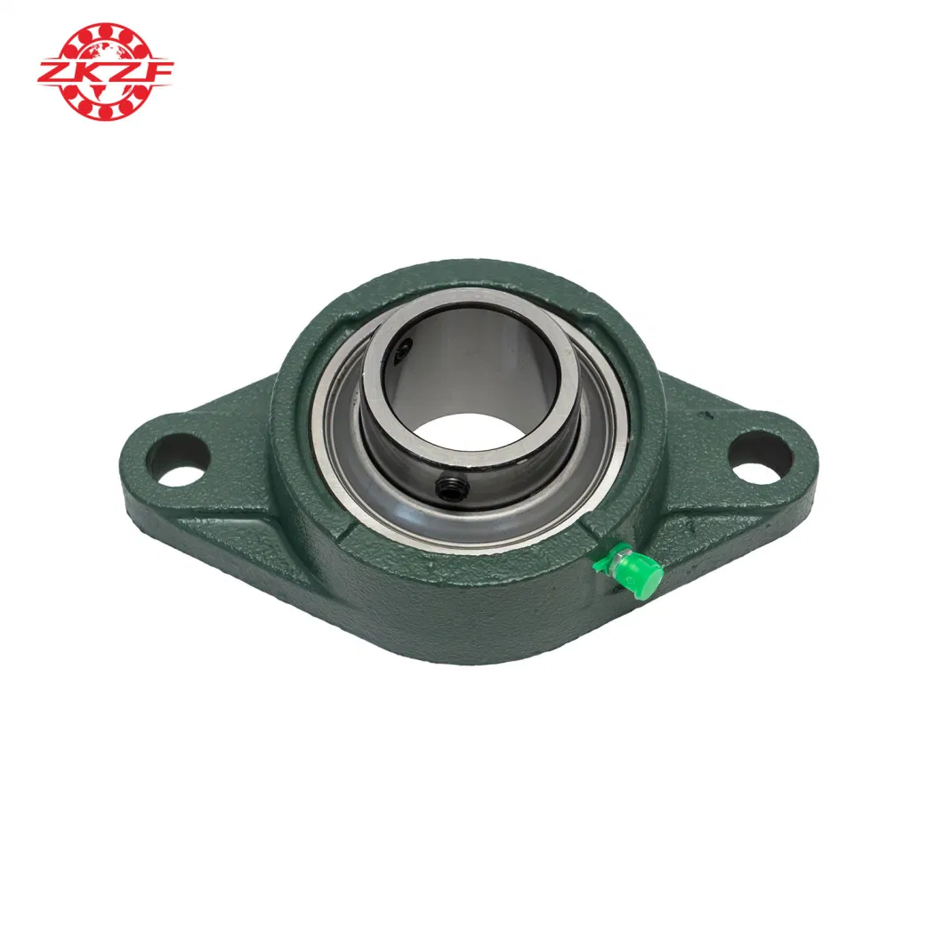 Zkzf Factory OEM Service Stainless Steel Pillow Block Bearings and Bearing Housing