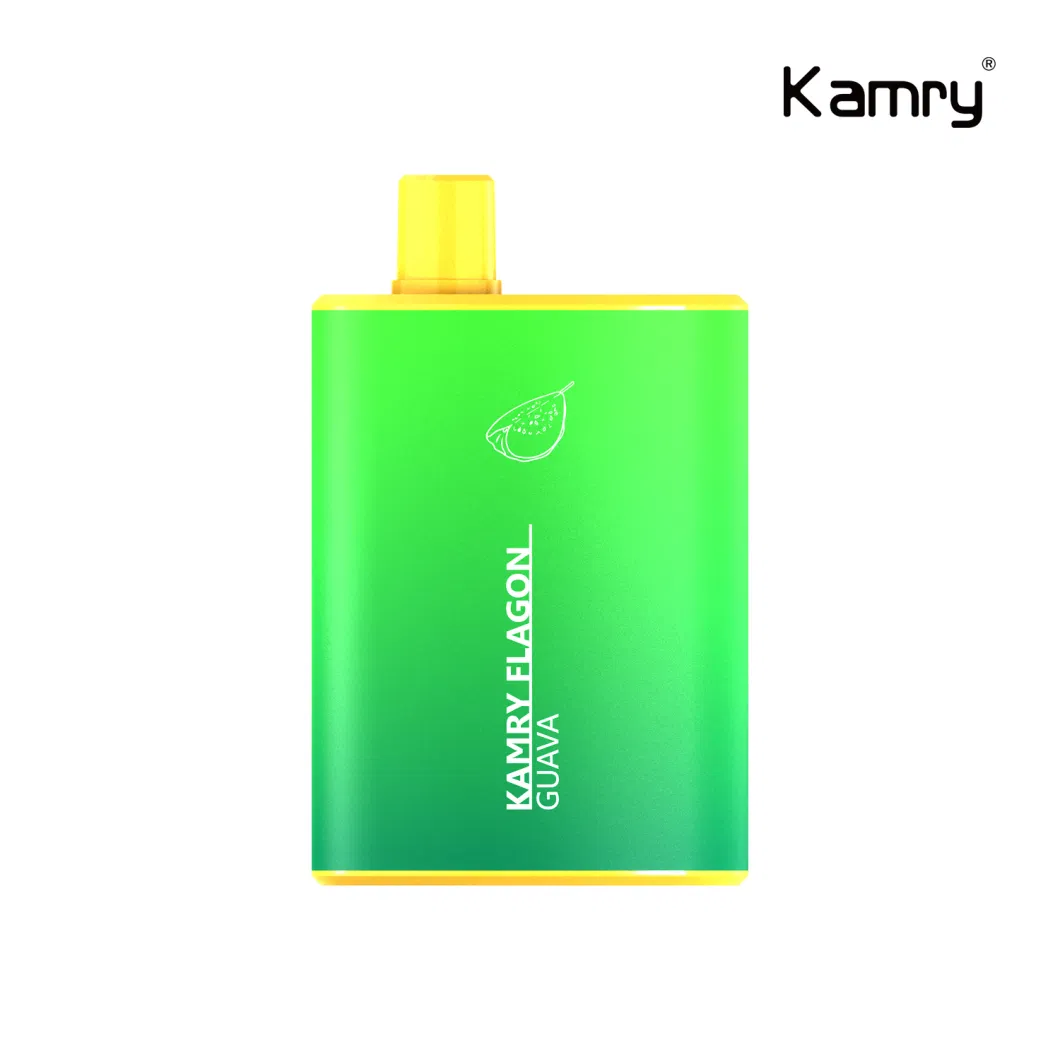 Kamry Flagon Electronic Cigarette Factory 2023 New Product Electronic Cigarette 6000puff E Cigarette Rechargeable Battery Vape