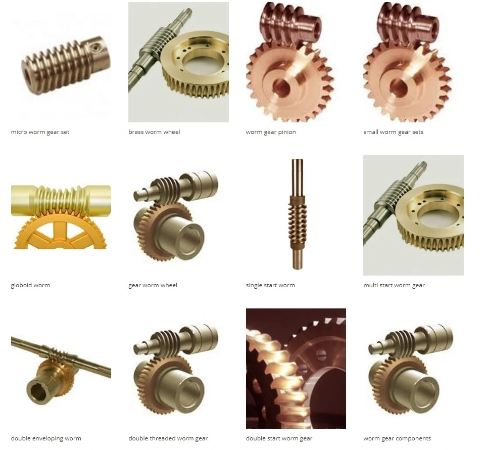 Transmission Manufacturers Suppliers Plastic Metal Cast Iron Stainless Steel Brass Small Helical Worm Wheel Globoid Speed Steering Screw Gear Set Drive Shaft