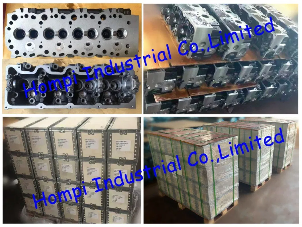 Engine Spare Cylinder Head Assy for Cummins 4bt 3966448 3910275/Isb6 3943627/Isde/6bt 3934747/6CT 3936152/Isf2.8/Isf 3.8 5307154 5258274/Qsb4/350 3406742