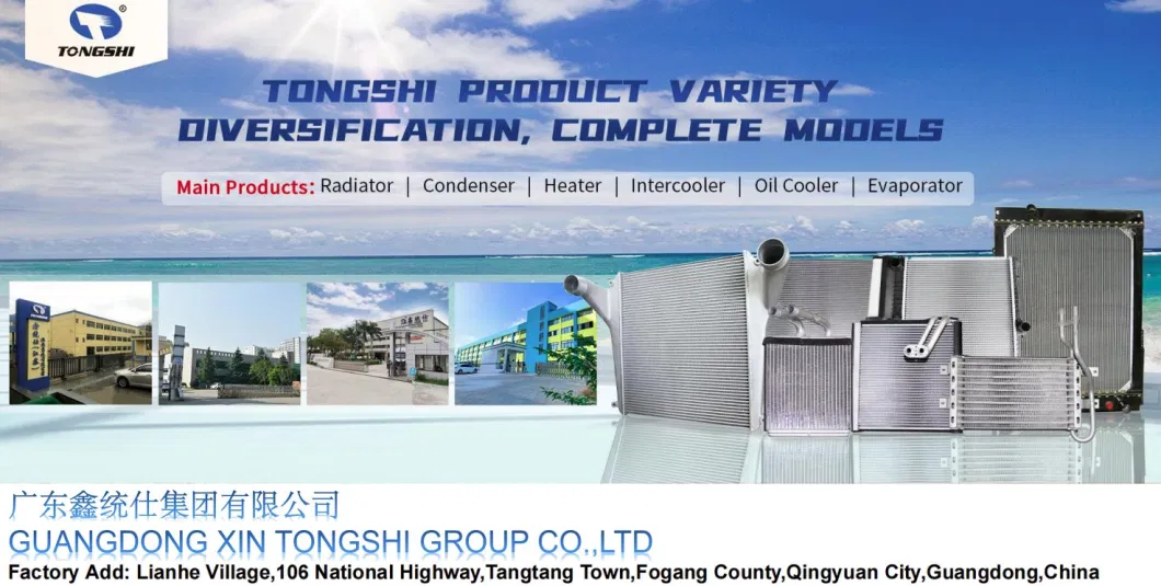 Tongshi Subaru for Heater Ts6281006 156*173*32 China 8708999990