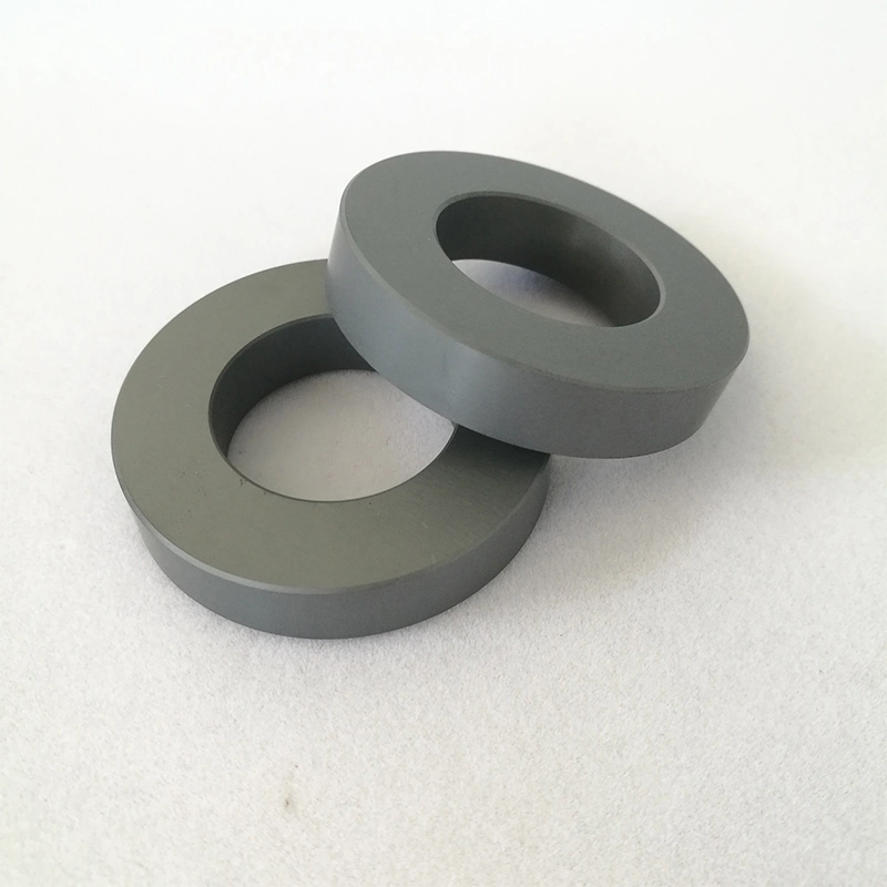 Polished Silicon Carbide Ceramic Seal Rings Bearings Tubes Rods Nozzles Ssic Rbsic Sic Ring