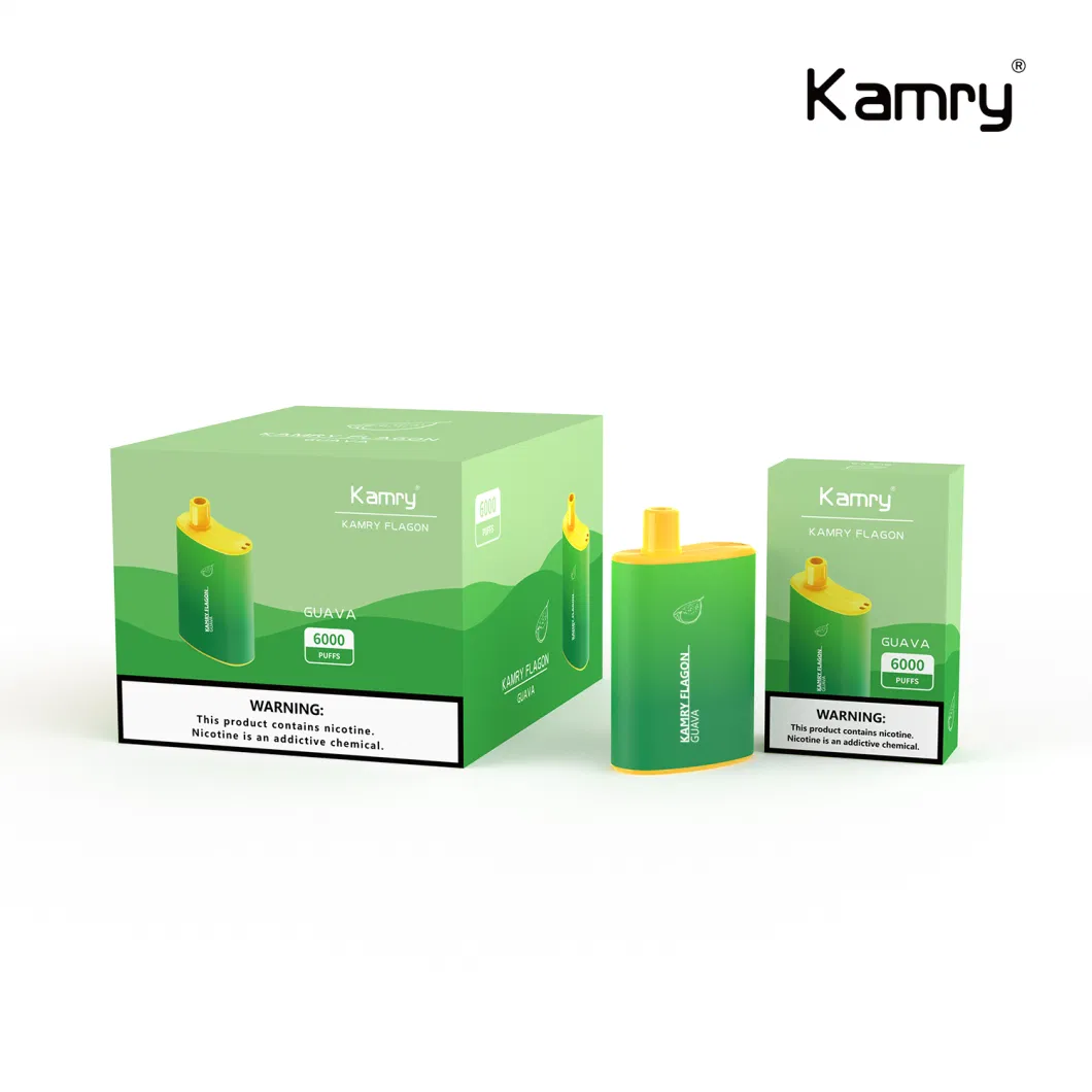 Kamry Flagon 2023 China 6000puff Most Popular Disposable Electronic Cigarette Wholesale Vape Smoking OEM ODM Direct Factory Puff Good Quality