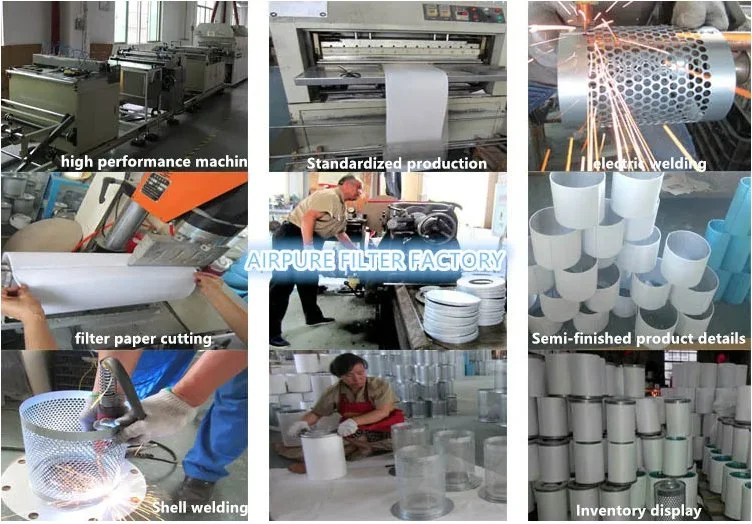 China Manufacturer Hydraulic Oil Press Filter (CS604lgh-13)