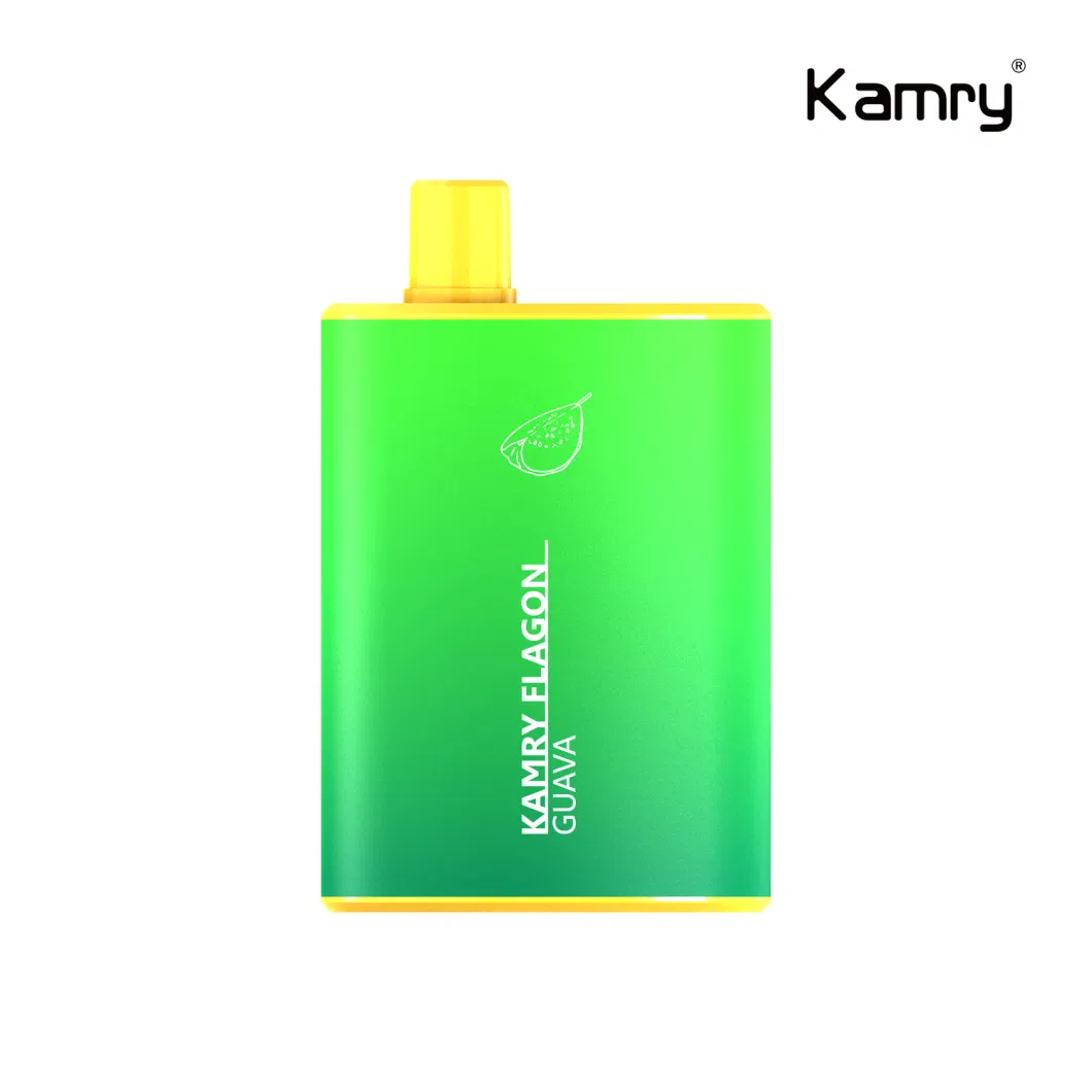Kamry Flagon Factory OEM&ODM Vapes Pen Mesh Coil 6000puff Multi Flavor Disposable Vaporizer Electronic Cigarette