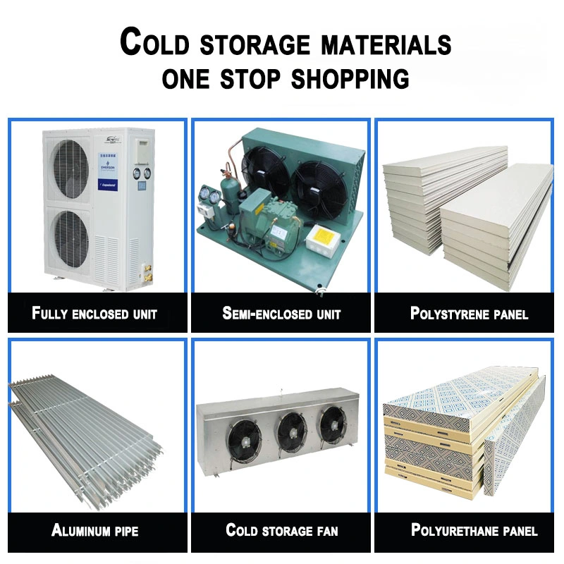 China Factory Mini Chicken Coolroom Chambre Froide Blast Freezer Cold Rooms Portable Cold Storage for Sale